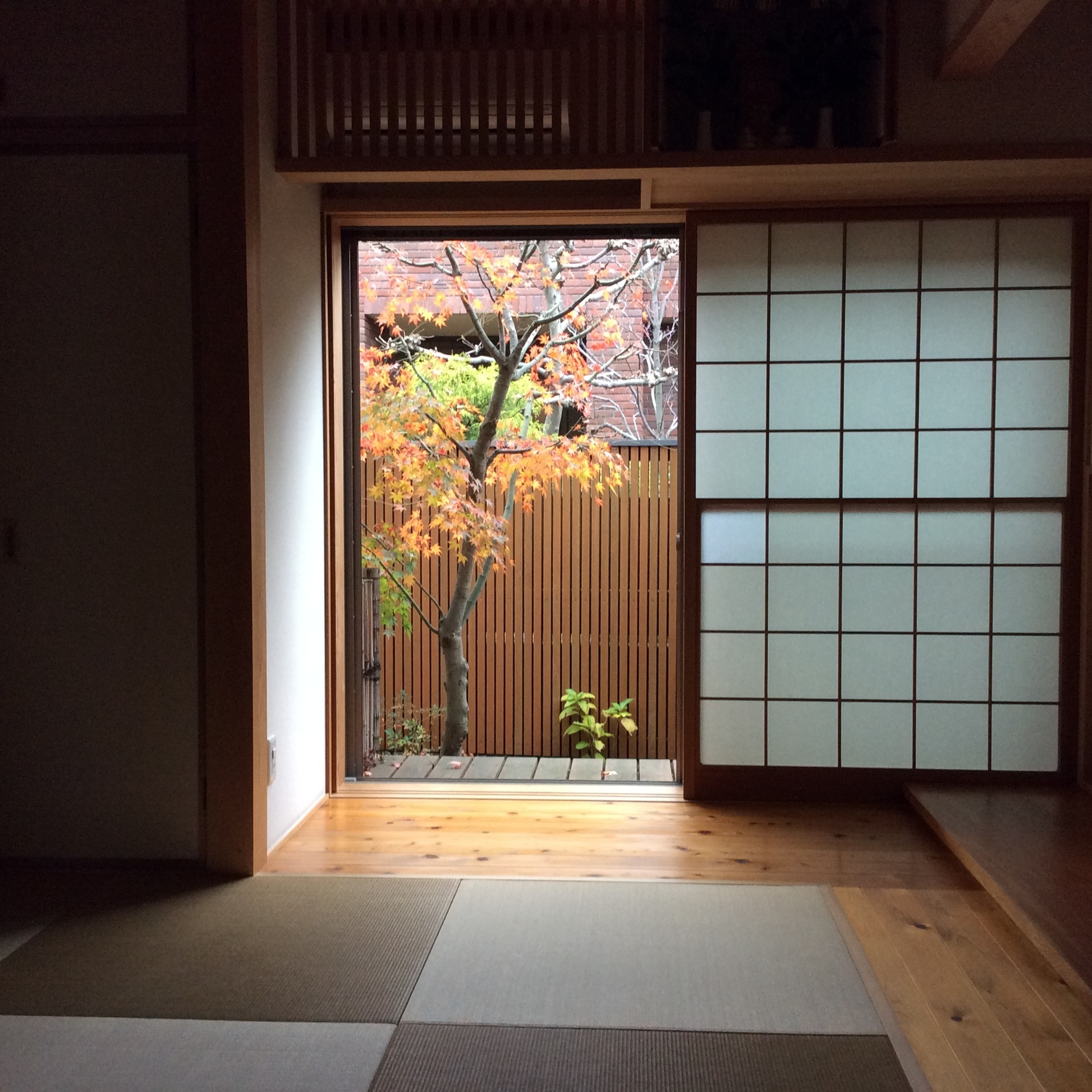 和室から和庭のモミジを眺める 木の家が好きな とある建築士のブログ